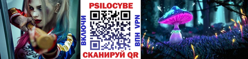 Галлюциногенные грибы прущие грибы  Сусуман 